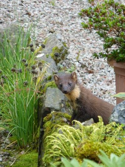 Dunchraigaig House Bed & Breakfast Kilmartin Bagian luar foto